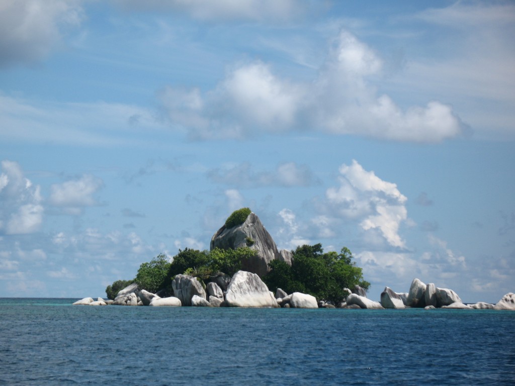 diving